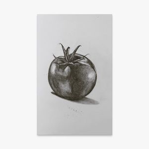 original graphite pencil realism traditional artwork drawing still life tomato﻿﻿